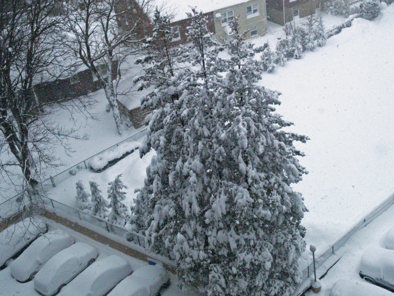 A60212_100720 6583_cvt_edited