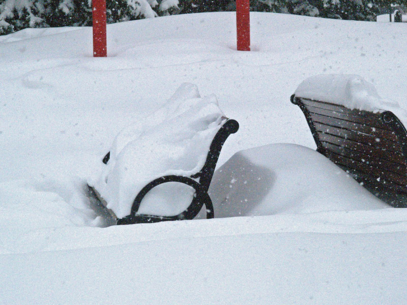 A60212_143240 6681_cvt_edited