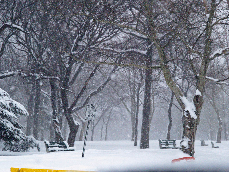 A60212_143308 6684_cvt_edited