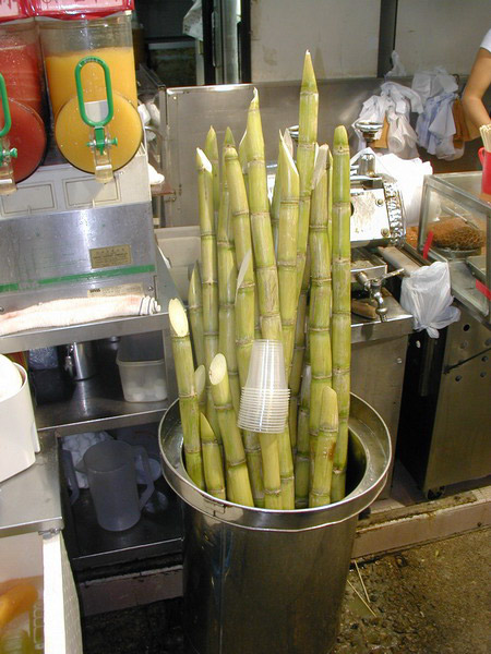 A50929_103157 0318  d490