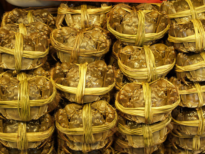 A50930_005938 4782  E1