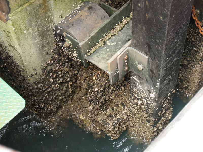 A50930_014858 4828  E1