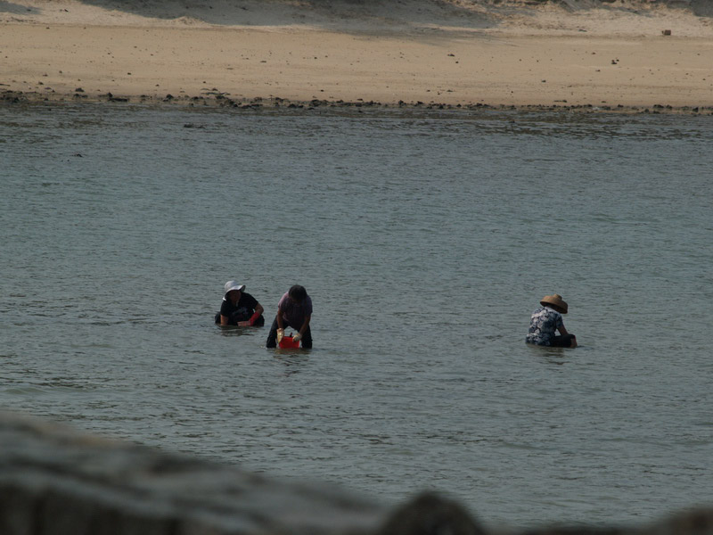 A50930_022848 4897  E1