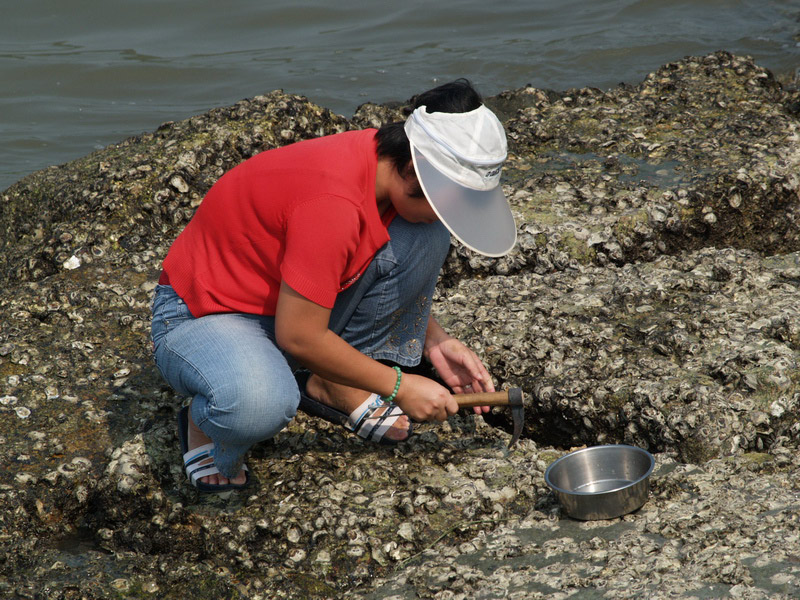 A50930_022946 4902  E1