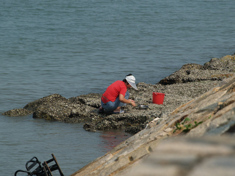 A50930_023408 4923  E1