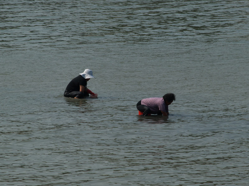 A50930_023440 4925  E1