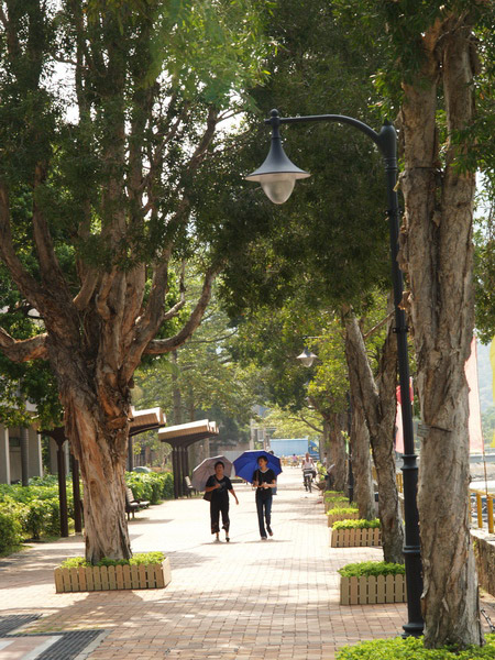 A50930_023916 4937  E1