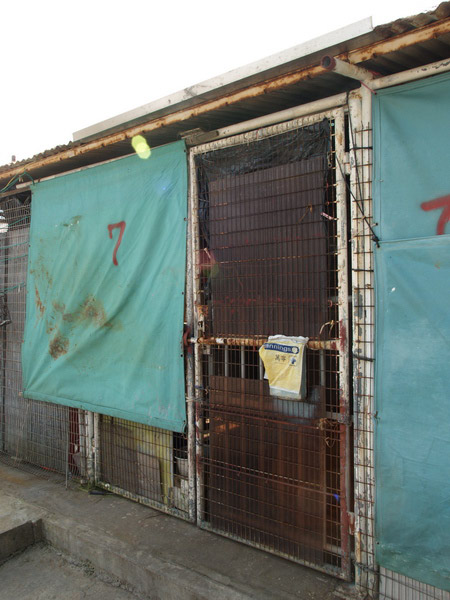 A50930_031230 5021  E1