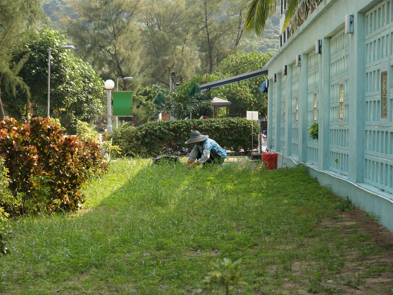 A50930_031728 5030  E1