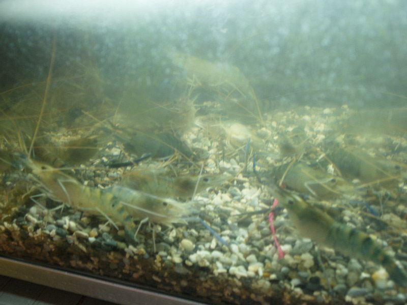 A51004_070656 5627  E1