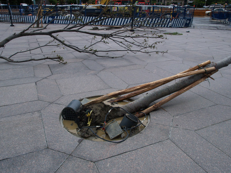 A51002_042232 5256  E1