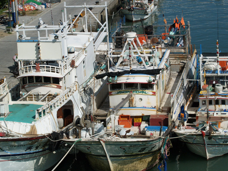 A51005_021308 5687  E1