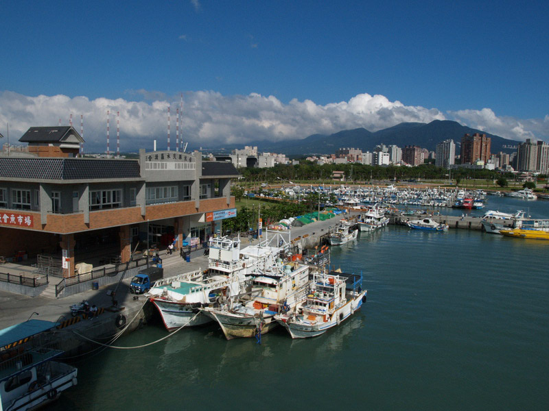 A51005_021604 5696  E1