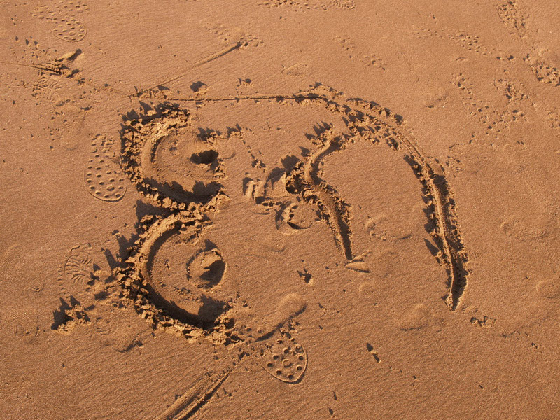 A51005_043006 5779  E1