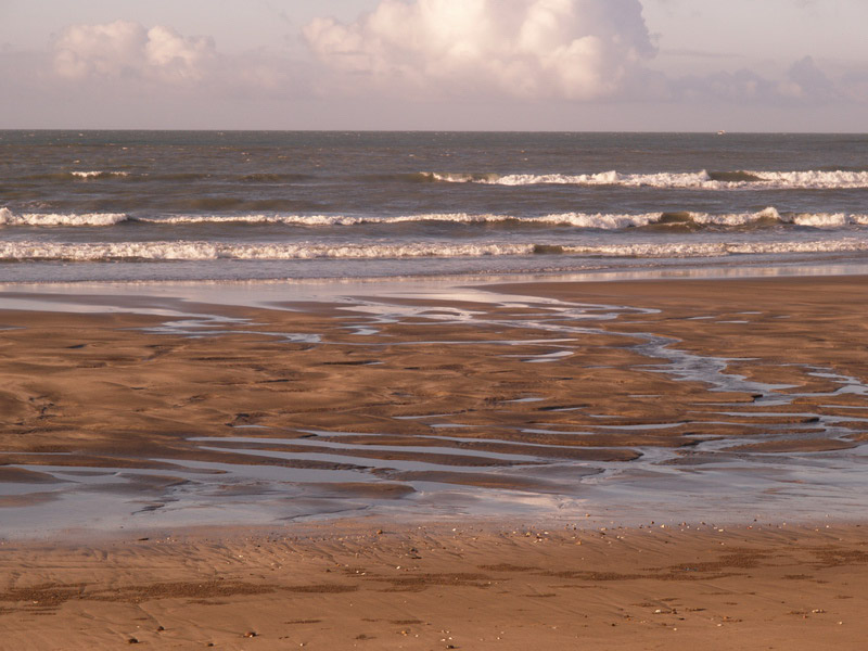 A51005_043340 5782  E1