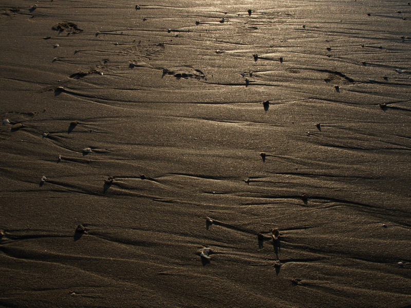 A51005_044328 5817  E1