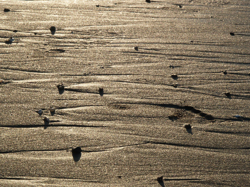 A51005_044336 5818  E1