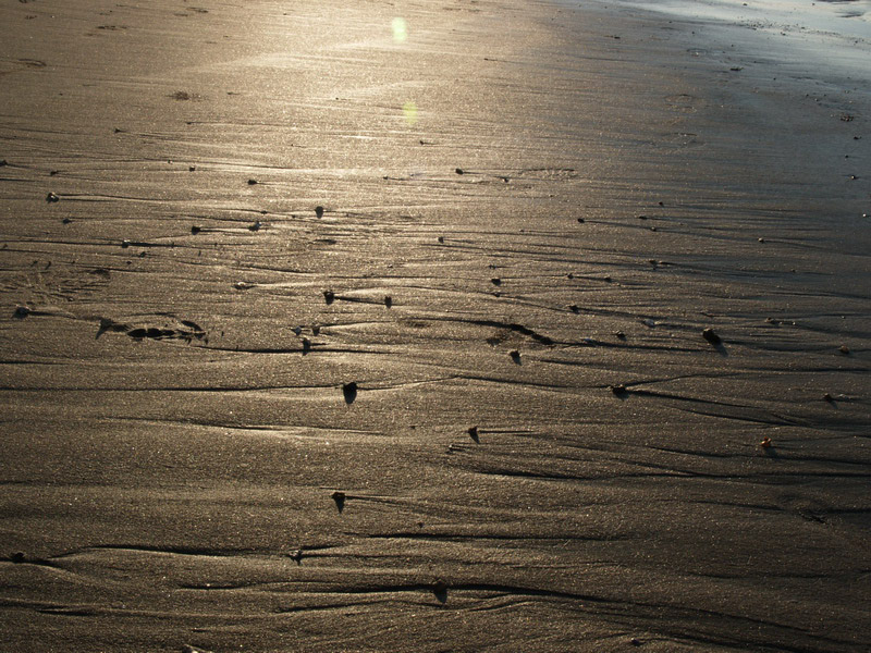 A51005_044342 5820  E1