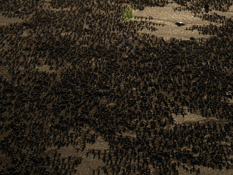 A51005_044352 5821  E1