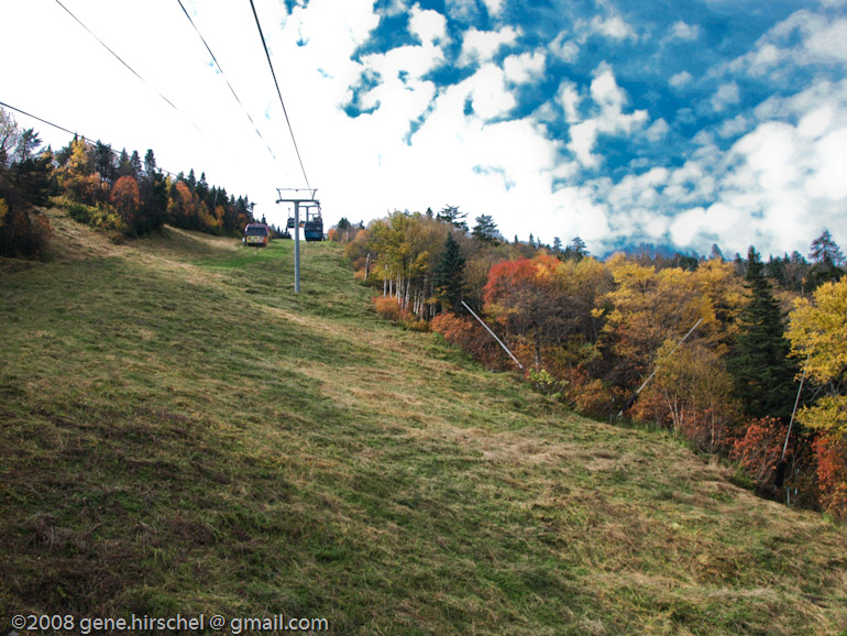 Killington Vermont Fall Foliage Leaves
