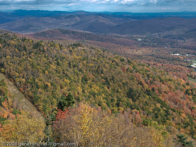 Killington Vermont Fall Foliage Leaves
