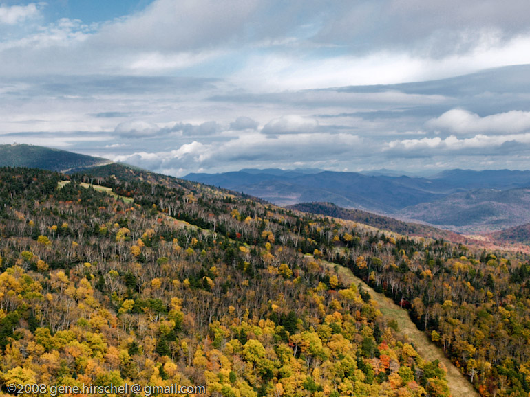 Killington Vermont Fall Foliage Leaves