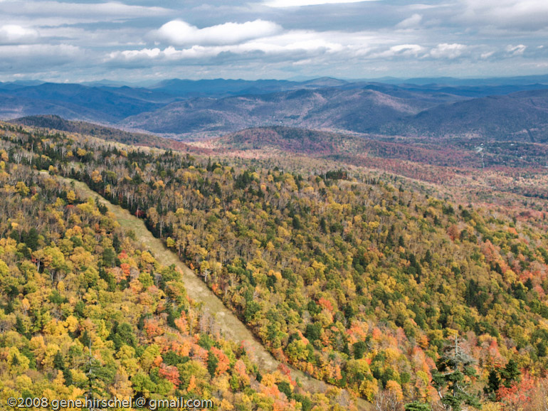 Killington Vermont Fall Foliage Leaves