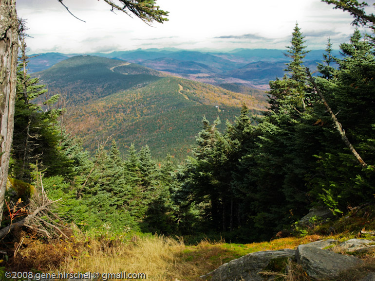 Killington Vermont Fall Foliage Leaves