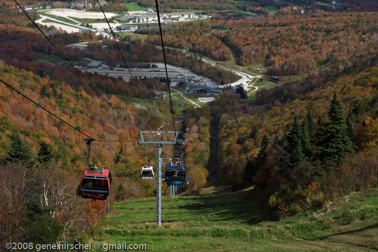 Killington Vermont Fall Foliage Leaves