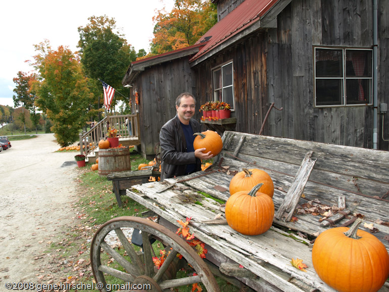 Killington Vermont Fall Foliage Leaves